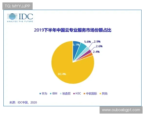 星辉平台:提供个性化定制服务满足多样化需求 星辉平台:提供个性化定制服务满足多样化需求