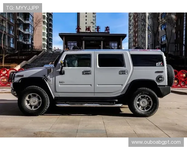 悍马娱乐城：探索豪华娱乐与休闲完美结合的极致体验